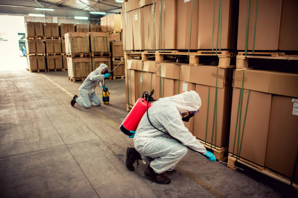 Best Residential Pest Control  in Woonsocket, RI