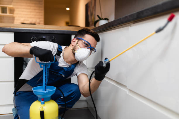 Best Pest Control for Restaurants  in Woonsocket, RI