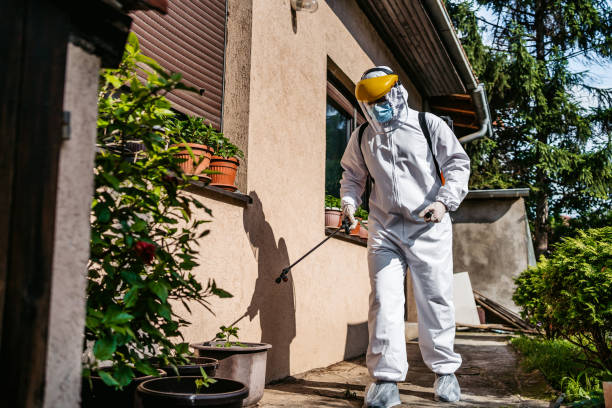 Best Pest Prevention Services  in Woonsocket, RI