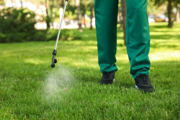 Best Emergency Pest Control  in Woonsocket, RI