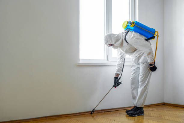 Best Bed Bug Extermination  in Woonsocket, RI