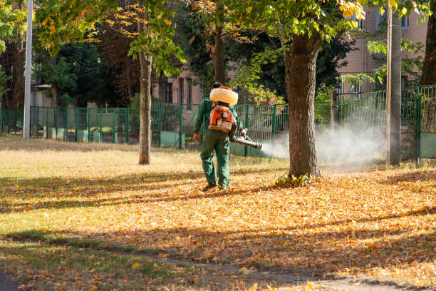 Best Wasp Removal Services  in Woonsocket, RI