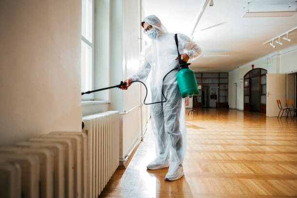 Best Affordable Pest Control Services  in Woonsocket, RI