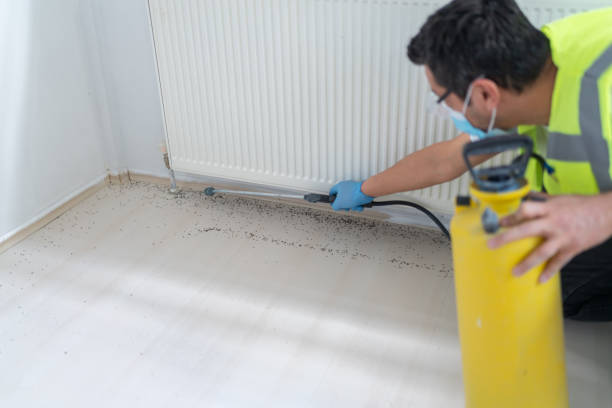Best Affordable Exterminators  in Woonsocket, RI